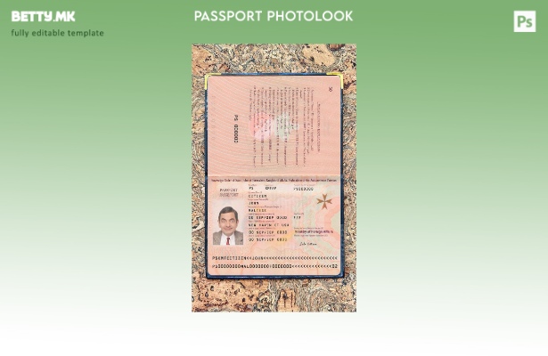 Модерен стил Малташки пасош присутен шаблон за изглед на фотографија